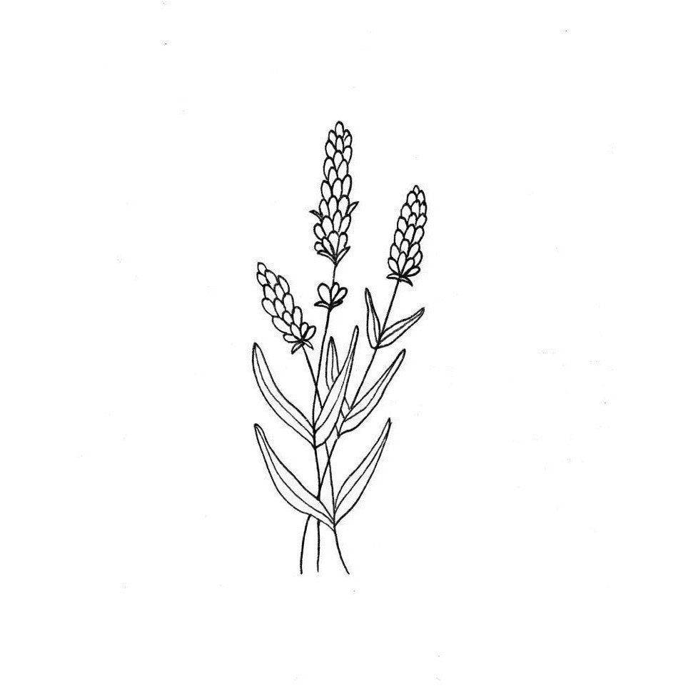 Wildflower & Lavender Print