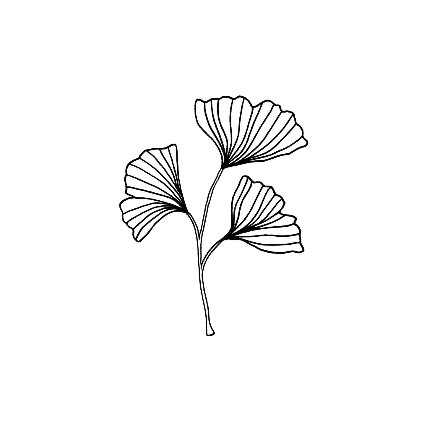 Gingko Leaf Print