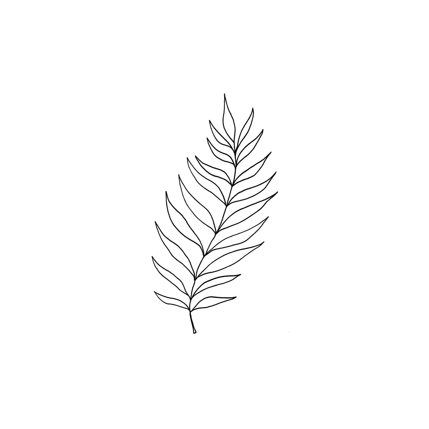 Fern Print