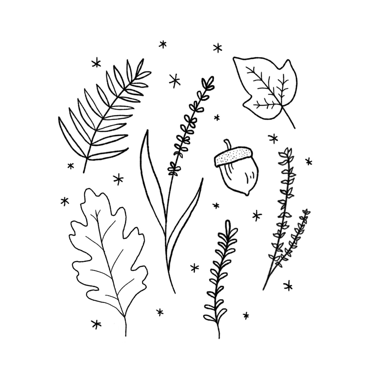 Forest Floor Print