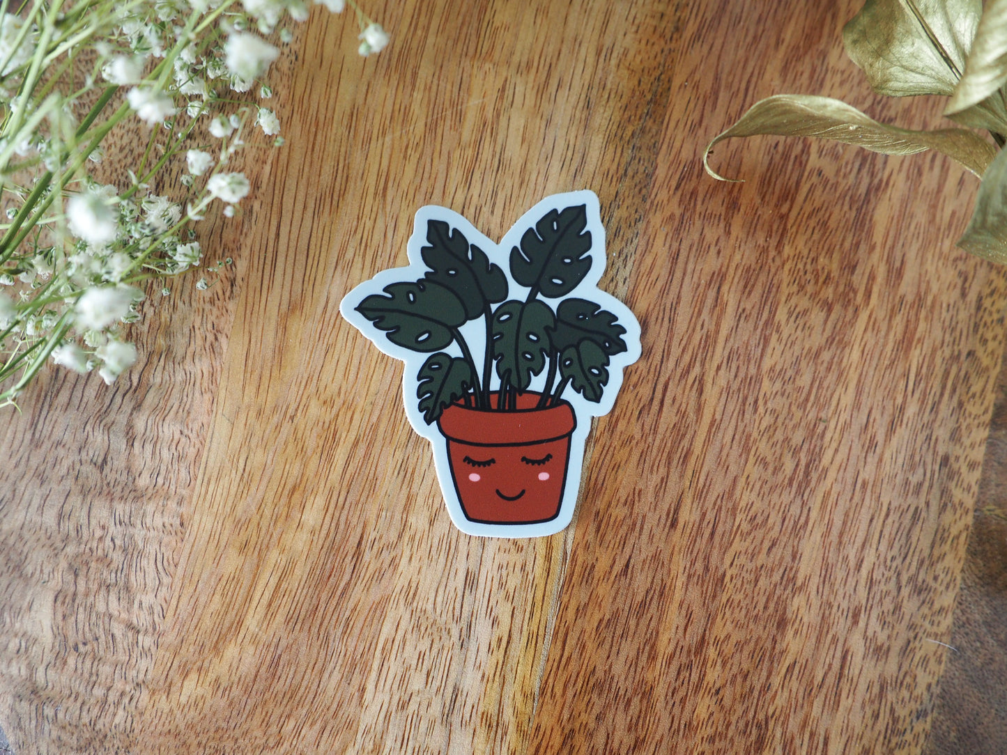 Happy Monstera Plant Sticker